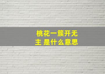 桃花一簇开无主 是什么意思